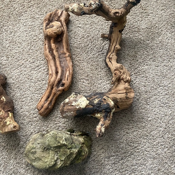 Driftwood for aquatic and reptiles - Picture 4 of 4